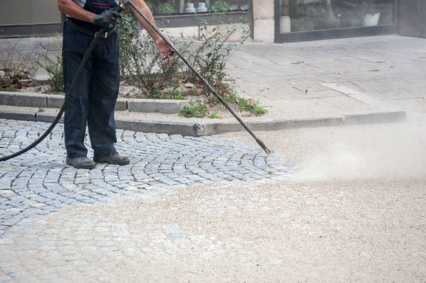 Best Gutter Cleaning  in Nitro, WV